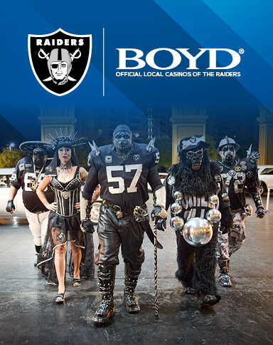 boyd and pro football logo with football fans below