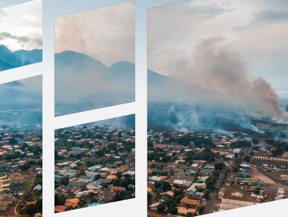 maui collage