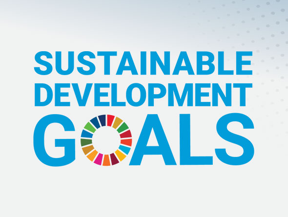 sustainable development