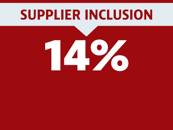 supplier inclusion graphic