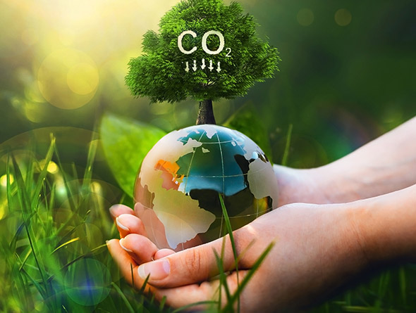 hands holding the earth with a tree with co on it