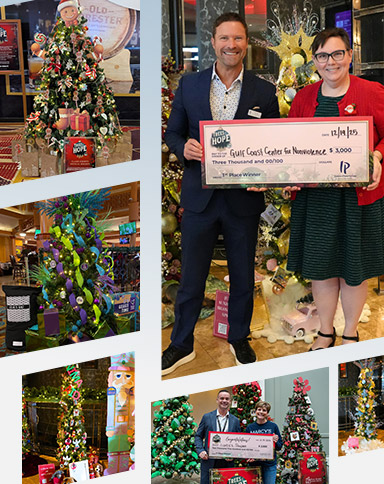 trees of hope collage with awards and trees