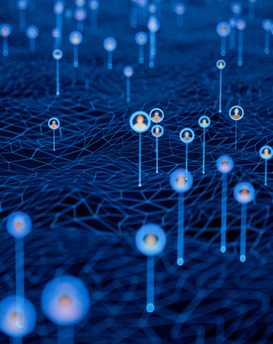 team members network concept