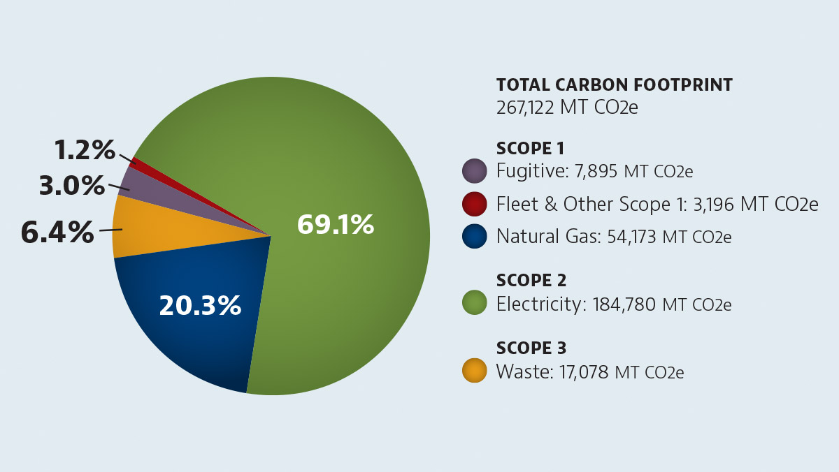 carbon footprint chart