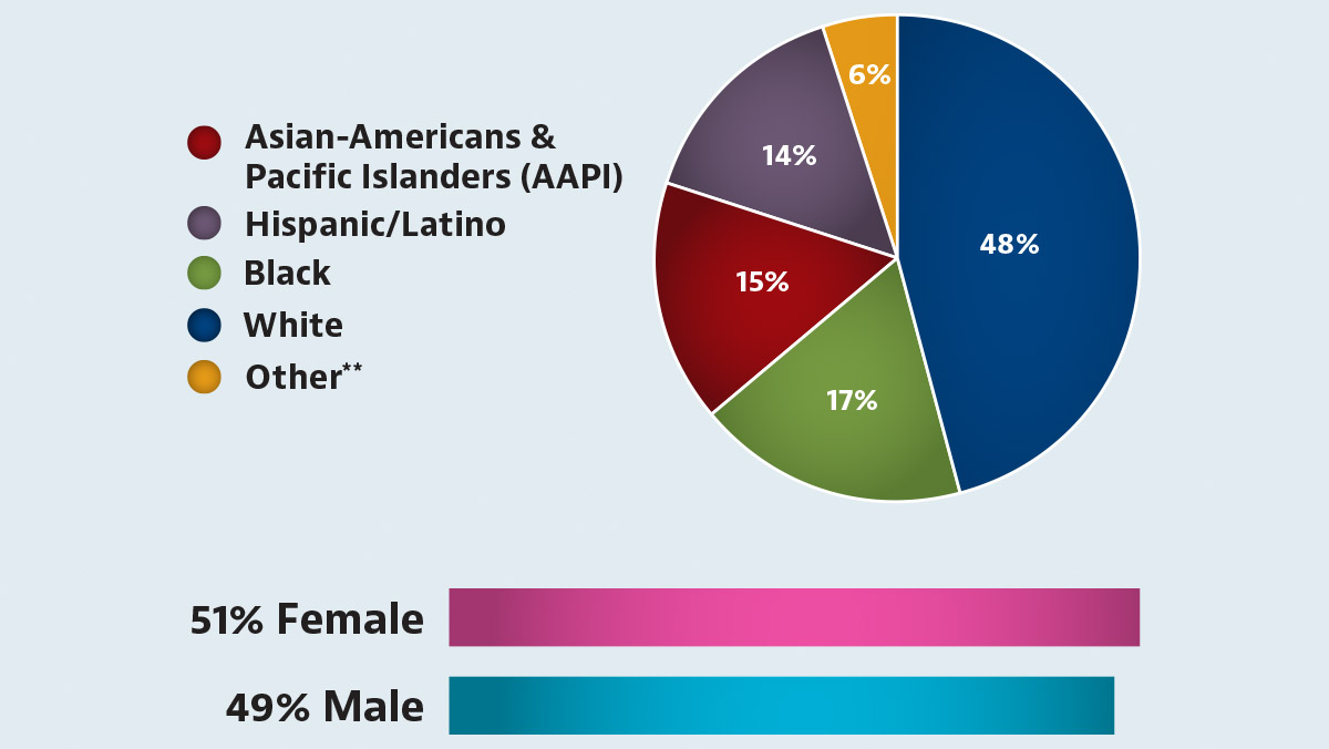 workforce composition chart
