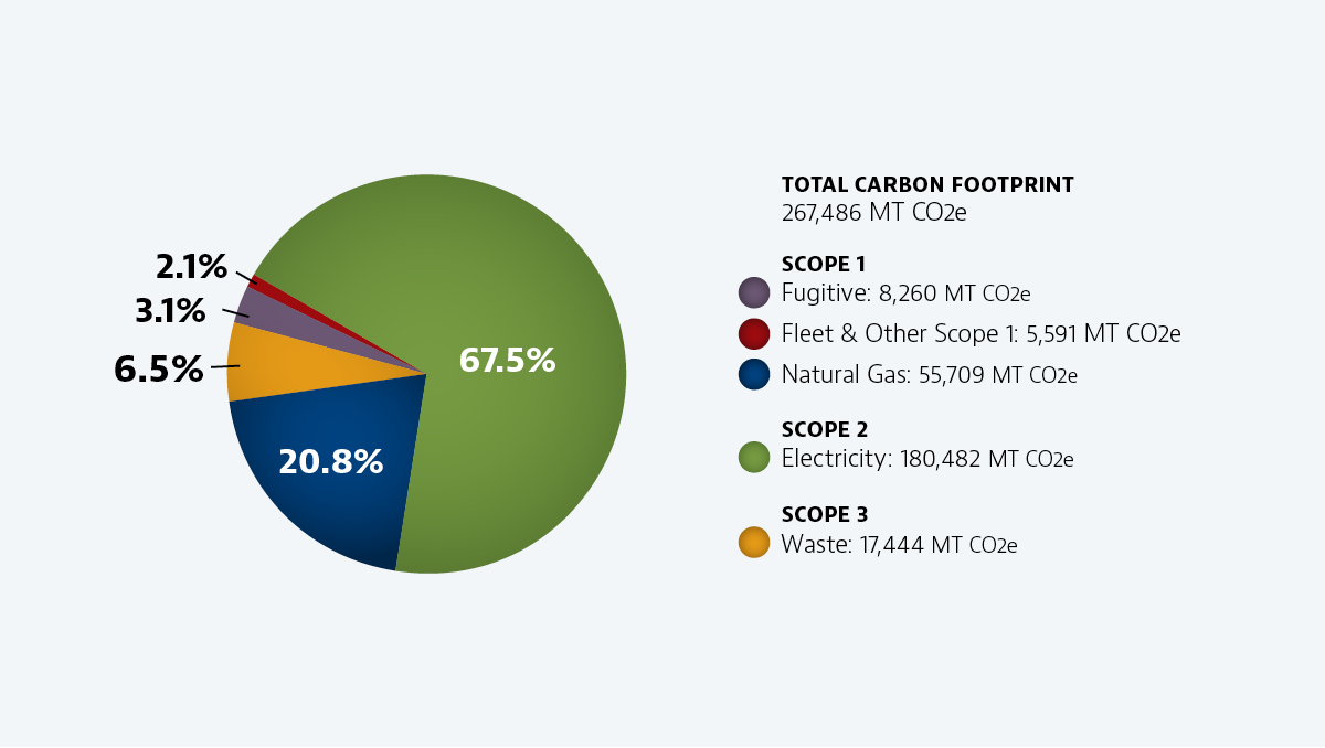 carbon footprint chart