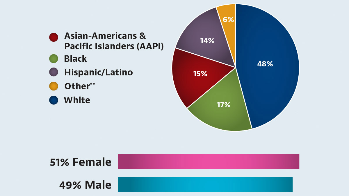 workplace diversity chart