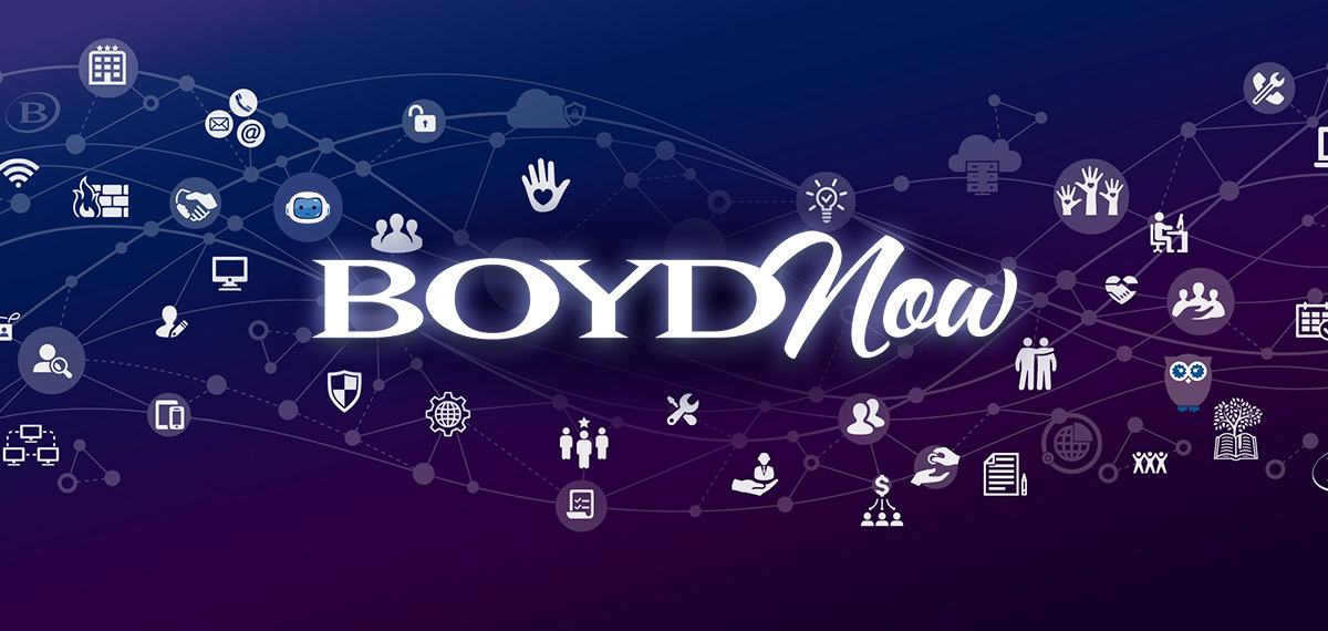 boyd now it portal