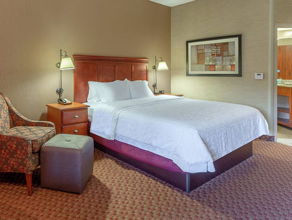 king room at paradice inn