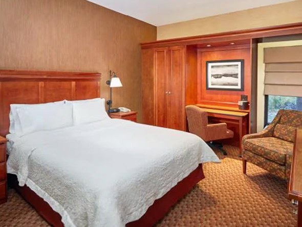 queen room with mobility access at paradice inn