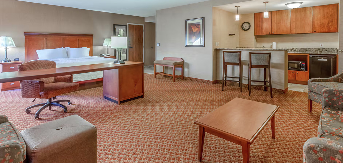 1 king 1 bedroom suite at paradice inn