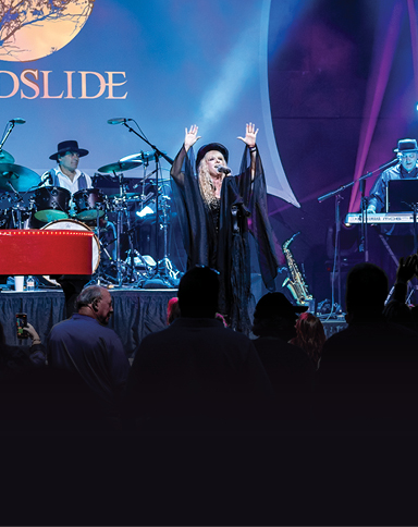 Landslide - A Tribute to Fleetwood Mac