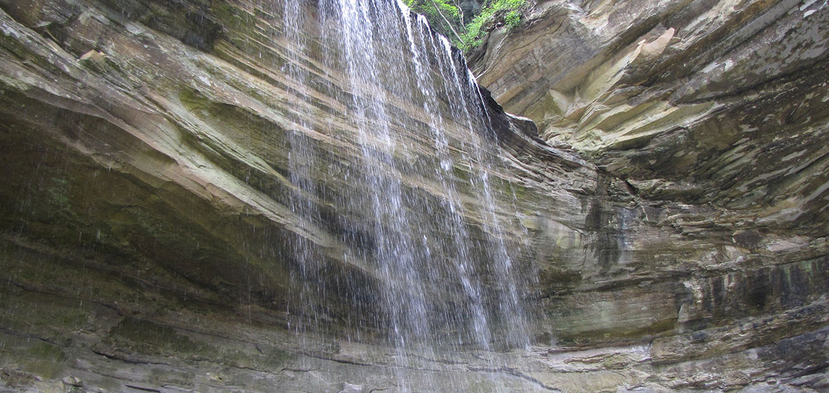 belterra area attractions image