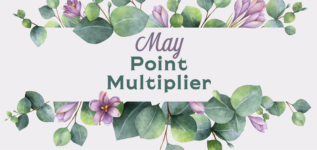 May Point Multiplier