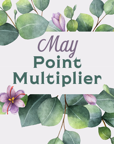 May Point Multiplier