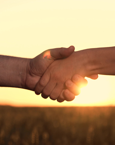 Community Partnership