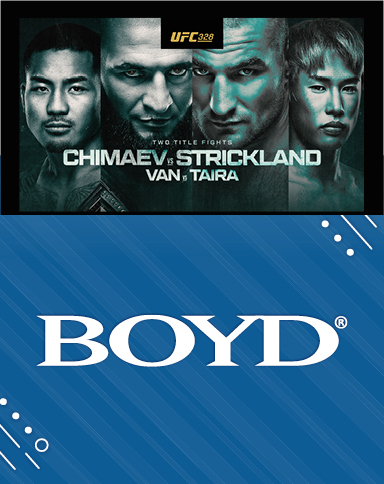 UFC 328