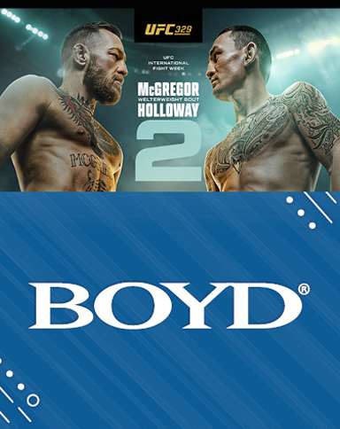 UFC 329