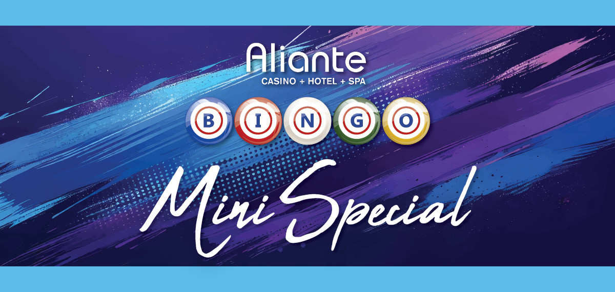 Bingo Mini Special