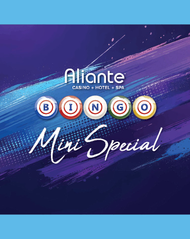Bingo Mini Special