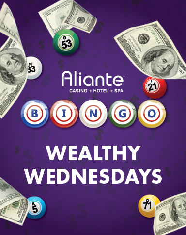 Bingo Wealthy Wednesdays