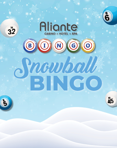 Snowball Bingo