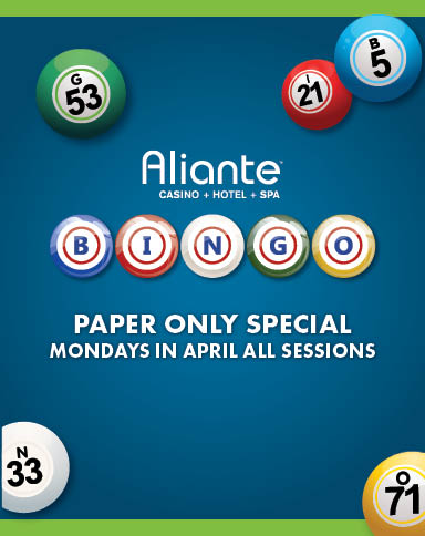 AL Bingo - Paper Only Special