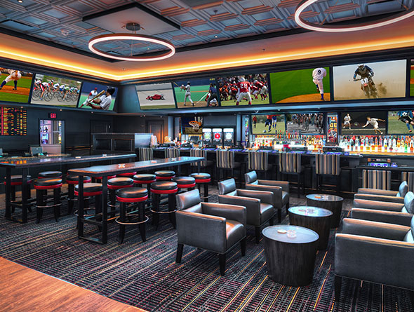 california cal sports book image