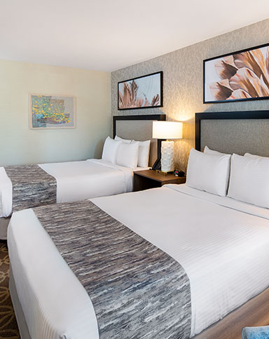 cannery deluxe two queens image