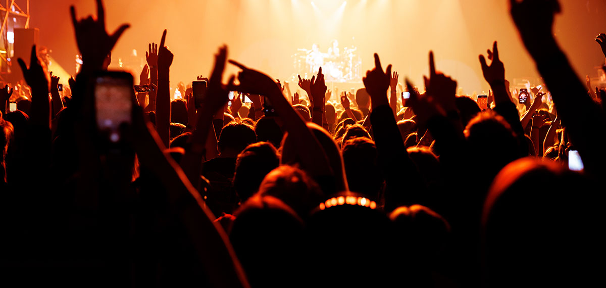 Image of a crowd at a concert