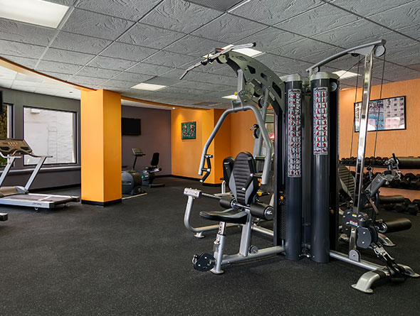 gold coast fitness center image