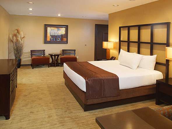 gold coast luxury suite image