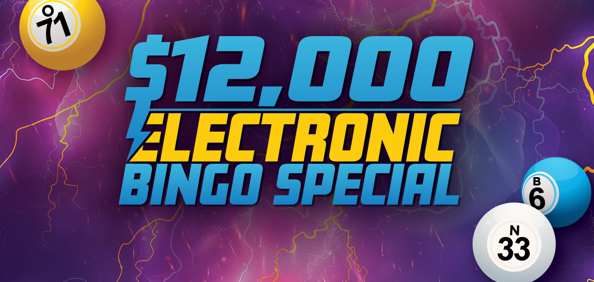 $12,000 Electronic Bingo Special