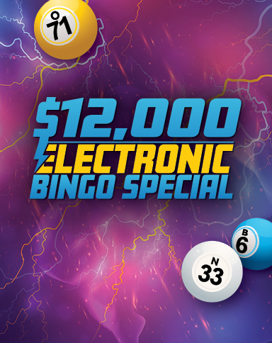 $12,000 Electronic Bingo Special