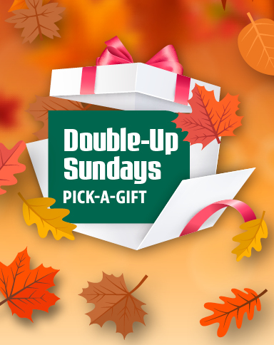 Double Up Gift