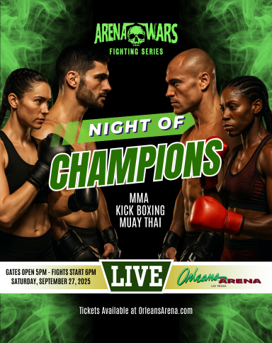 Arena Wars Fighting Series