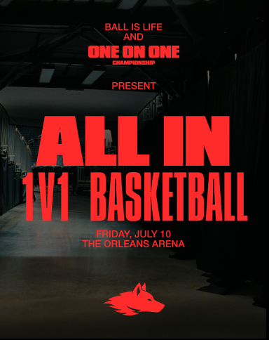 All In 1V1 Basketball