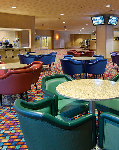 orleans arena club seats image