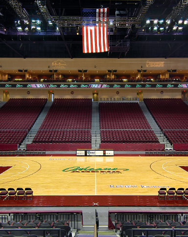 orleans arena image