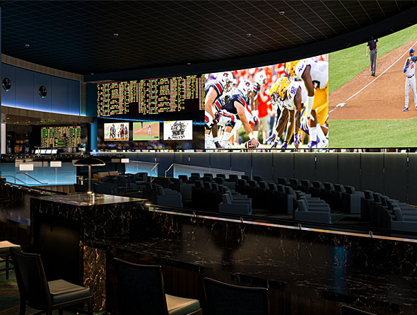 Suncoast Sportsbook