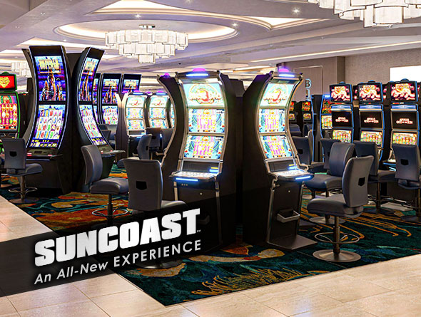 Suncoast all-new experience