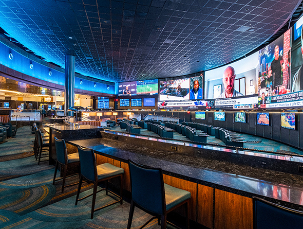 suncoast sportsbook