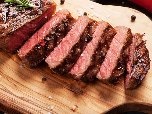 suncoast sc prime image