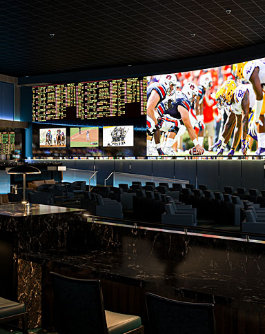 Suncoast Sports Book