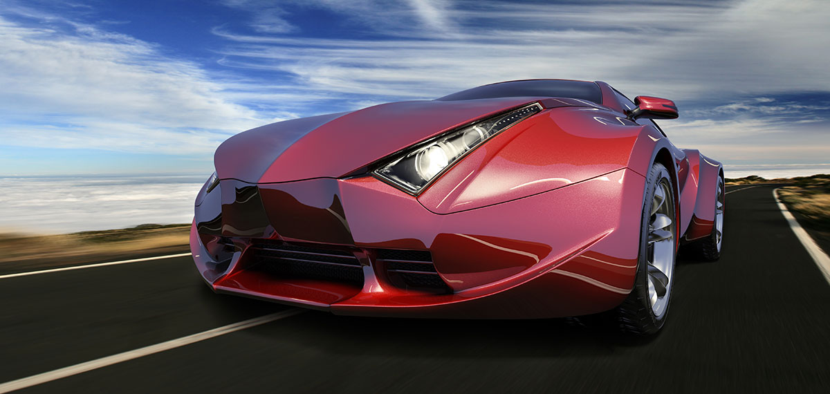 suncoast adventure image