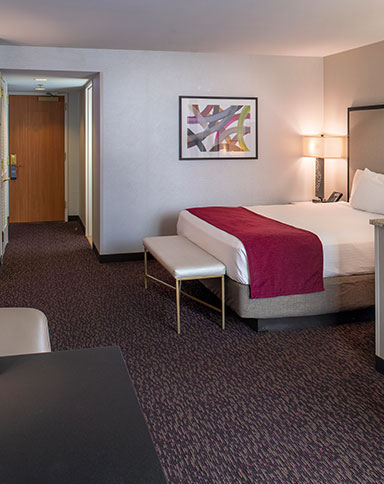 suncoast deluxe king image