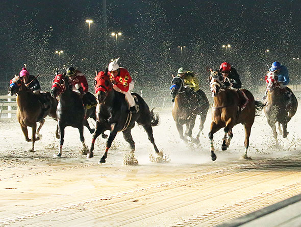 delta downs racing image