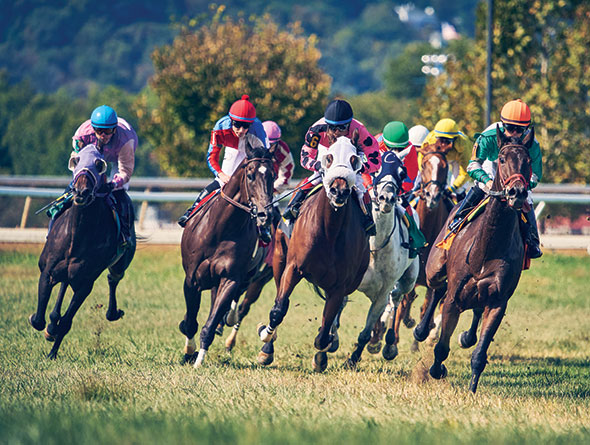 delta downs racing news image