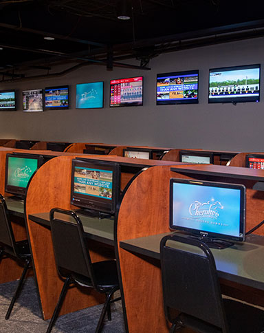 delta downs simulcast image