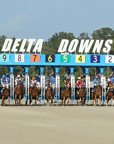 delta downs gate image